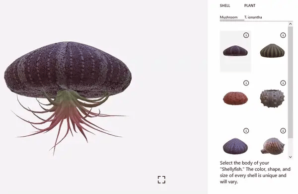 Airplant Jellyfish