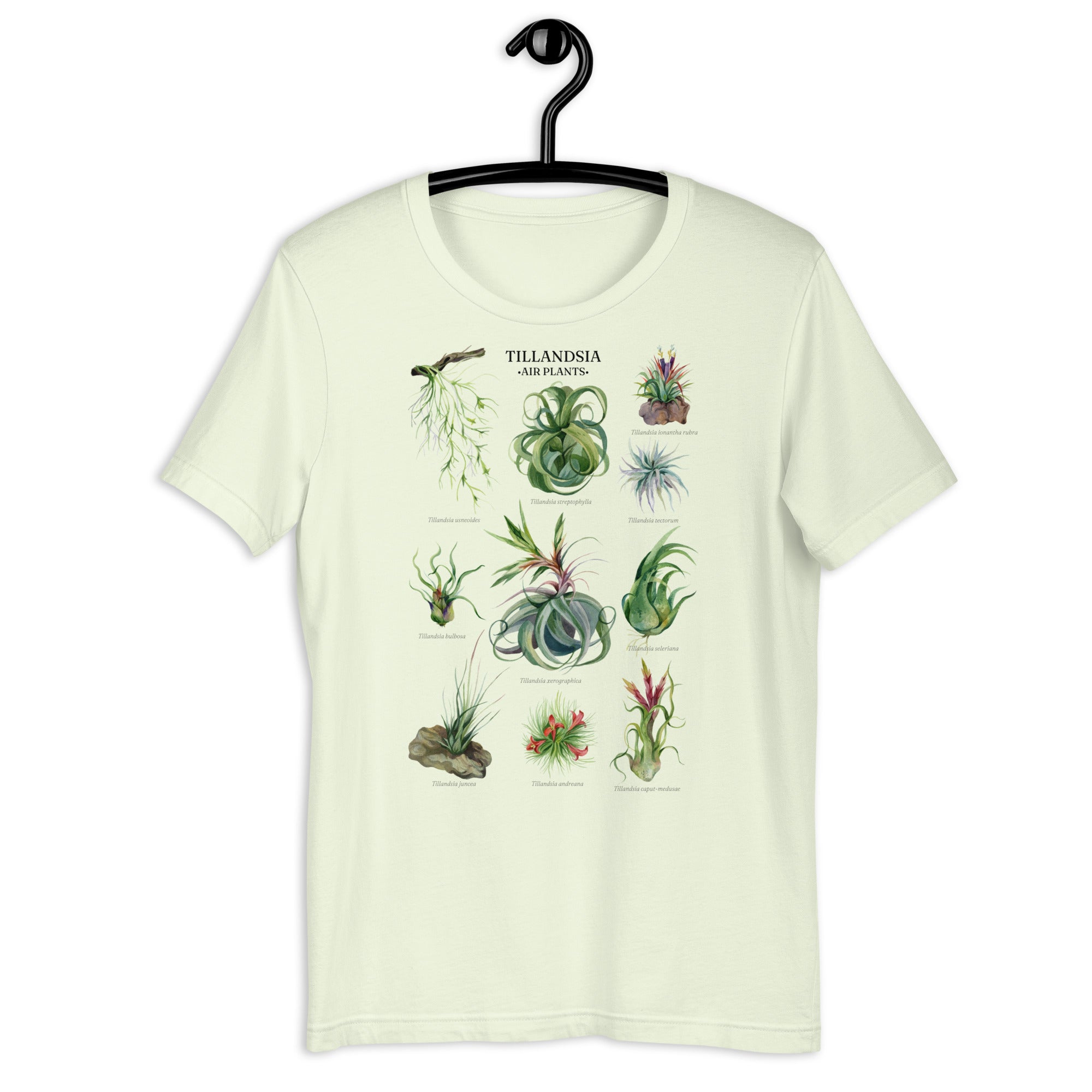 Botanical Tillandsia Shirt (Common Airplants)