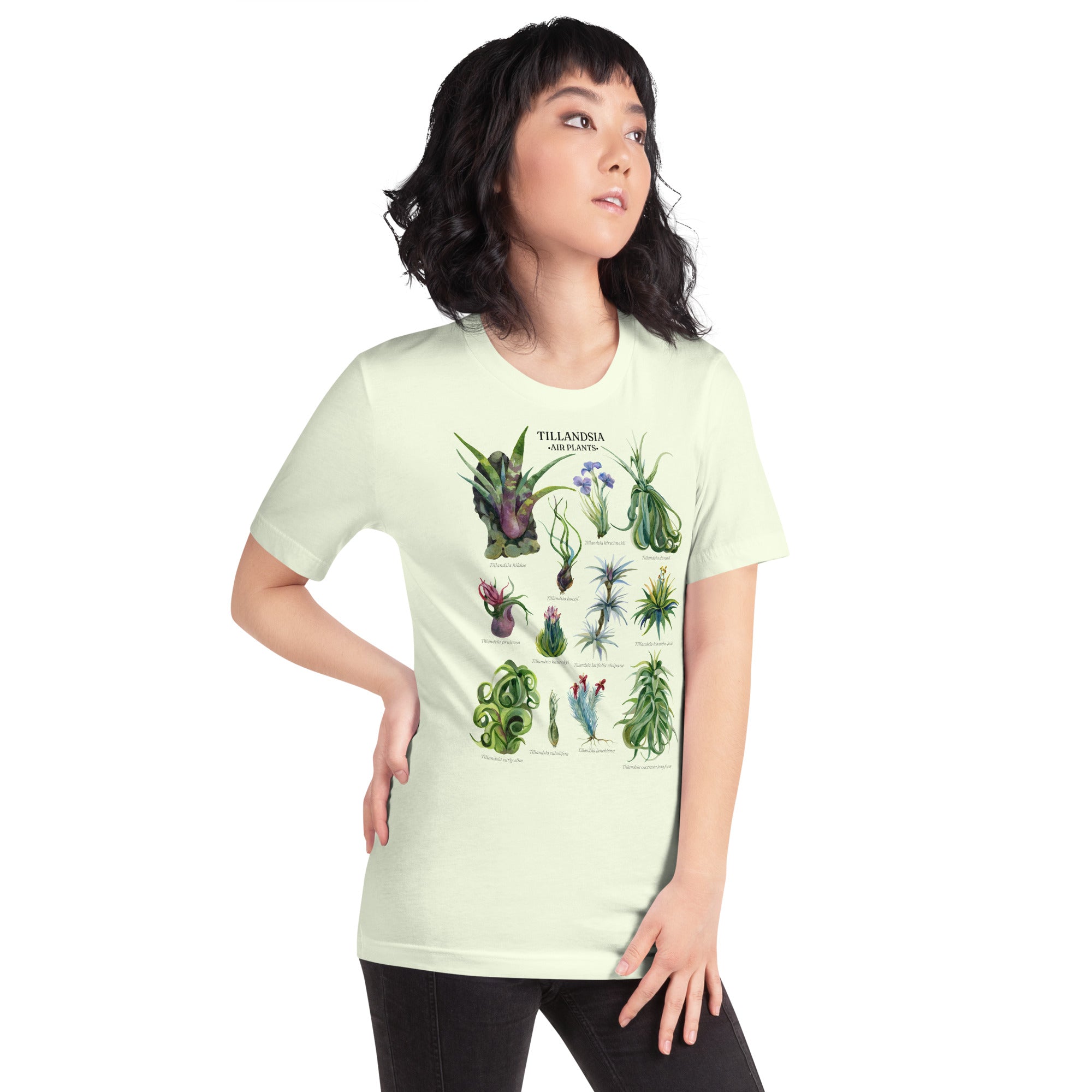 Botanical Tillandsia Shirt (Rare Airplants)