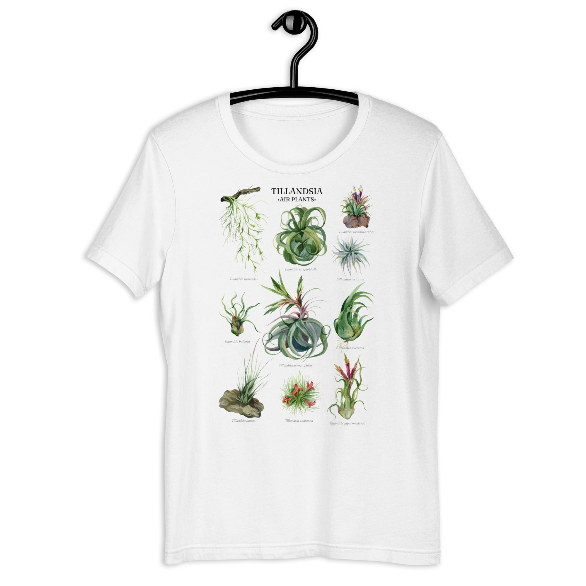 Botanical Tillandsia Shirt (Common Airplants)